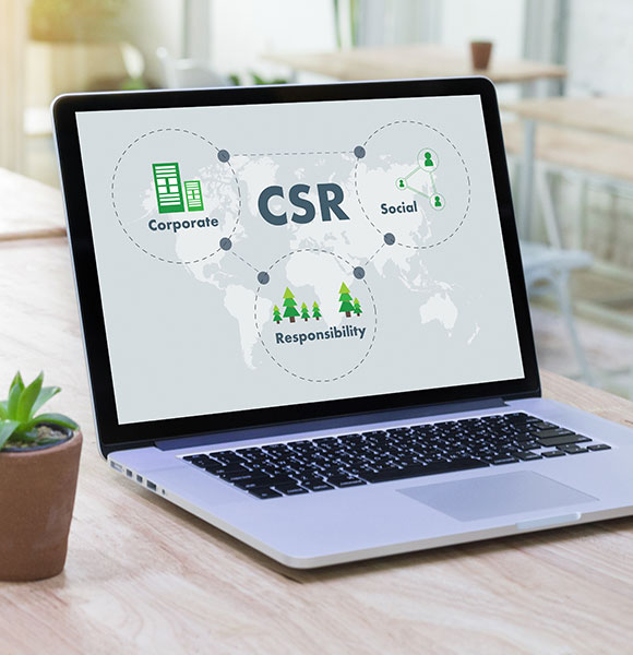 A laptop and a pot of greenery are placed on the desk top.